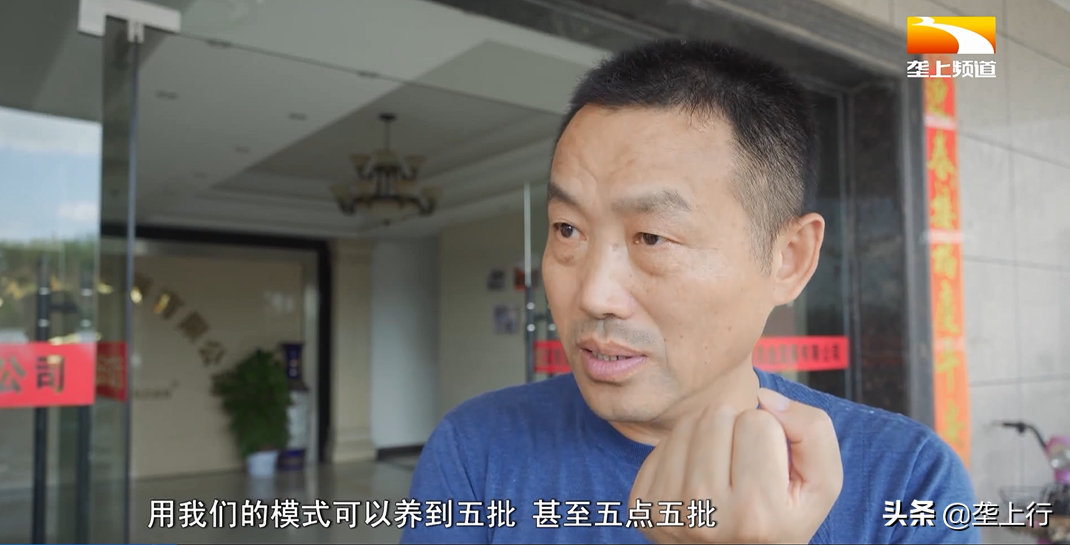 淡水对虾和海水对虾的区别_海水淡水对虾是什么虾_对虾是淡水还是海水