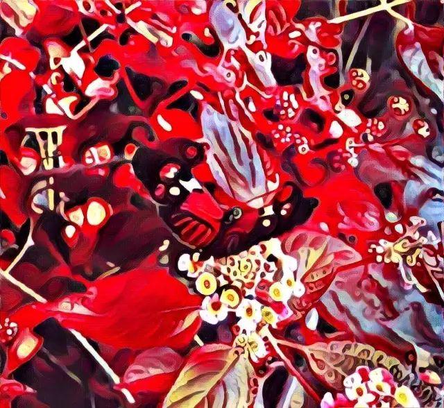 圣母婊是什么意思_圣母意思是什么意思_圣母的意思是