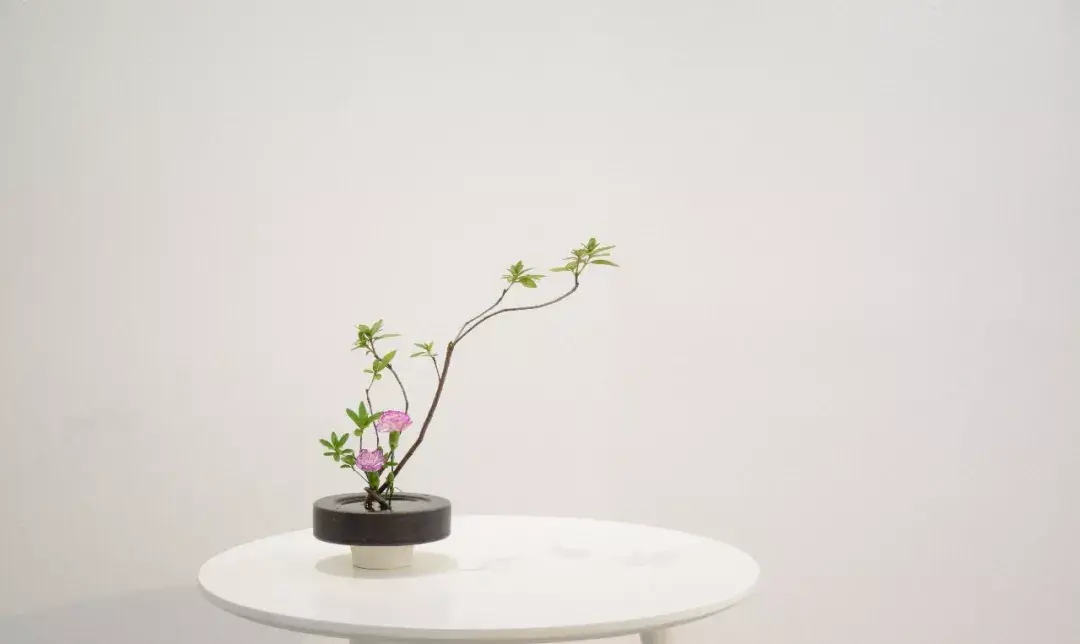 人非生而知之者孰能无惑啥意思-天天古诗词｜唐文，韩愈《师说》