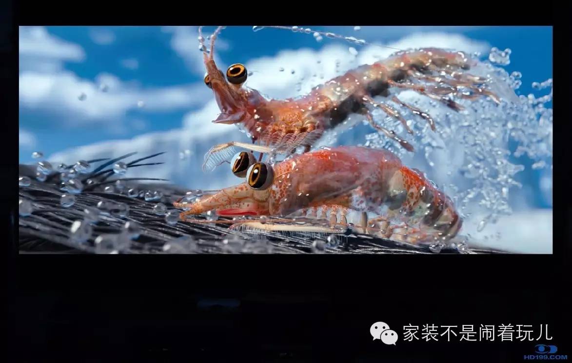 投影幕布种类对比_投影幕布哪种效果好_投影那种幕布好