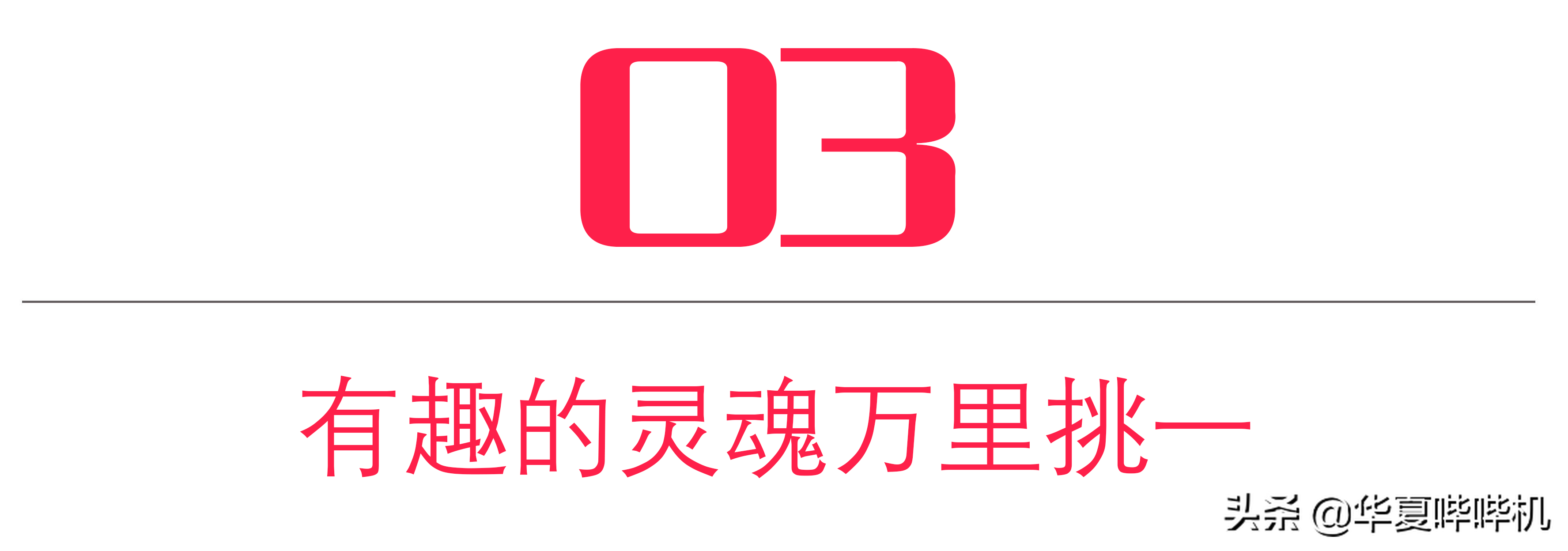 辣目洋子简介_辣目洋子是什么名字_辣目洋子别称