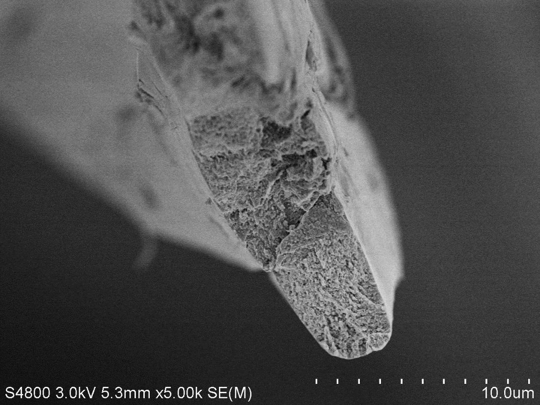 海藻酸钠实验中氯化钙的作用_氯化钙海藻酸钠反应_海藻酸钠与氯化钙的实验原理