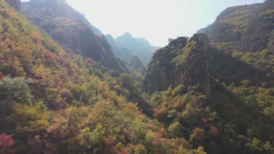 五台山海拔_台山最高的山_台山海拔高度是多少米