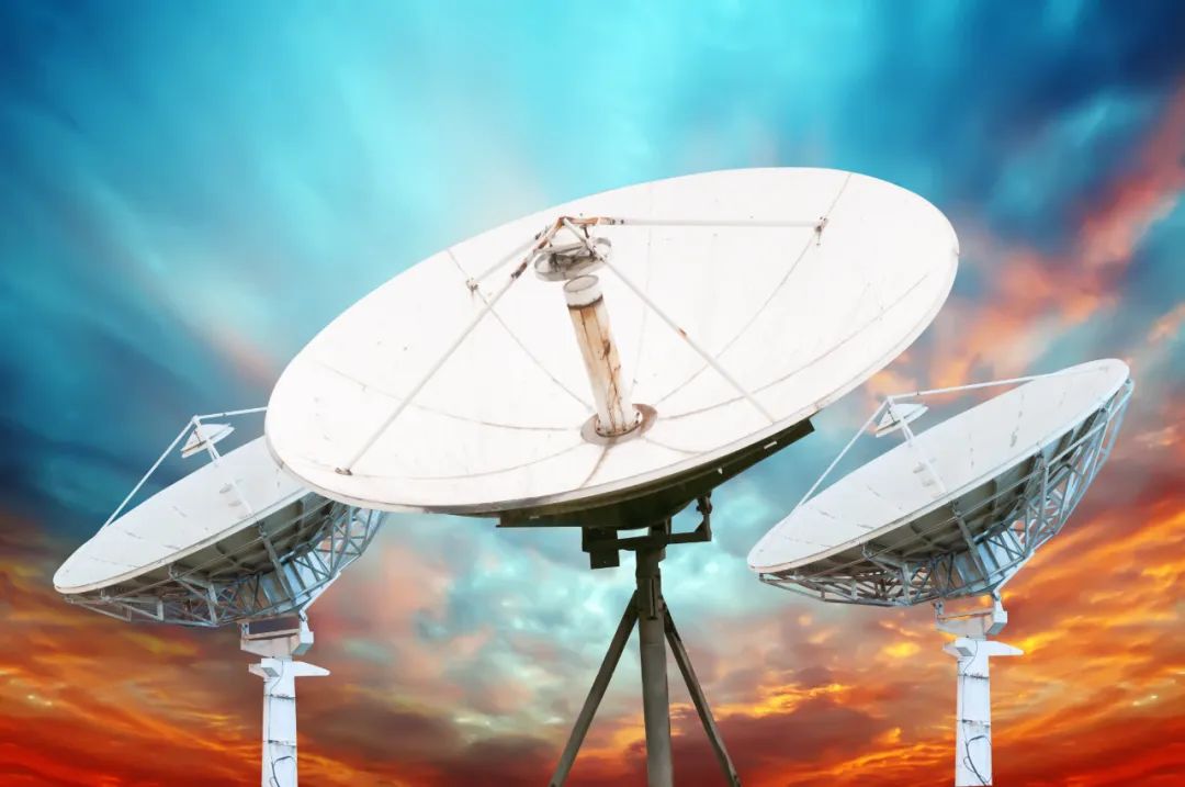 菜鸟的意思是什么意思啊_菜鸟是什么意思_菜鸟是何意思