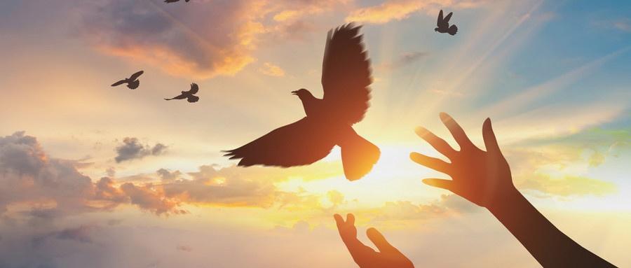 职业自由是指_自由职业的职业是什么_职业自由的层次