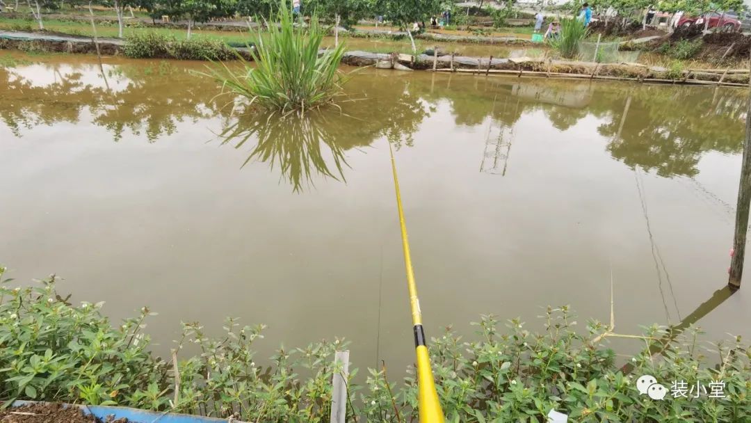 钓虾场钓虾技巧_钓虾技巧_钓虾技巧大全