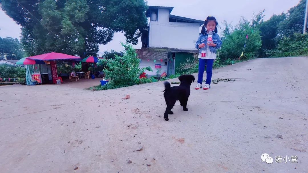 钓虾技巧_钓虾技巧大全_钓虾场钓虾技巧