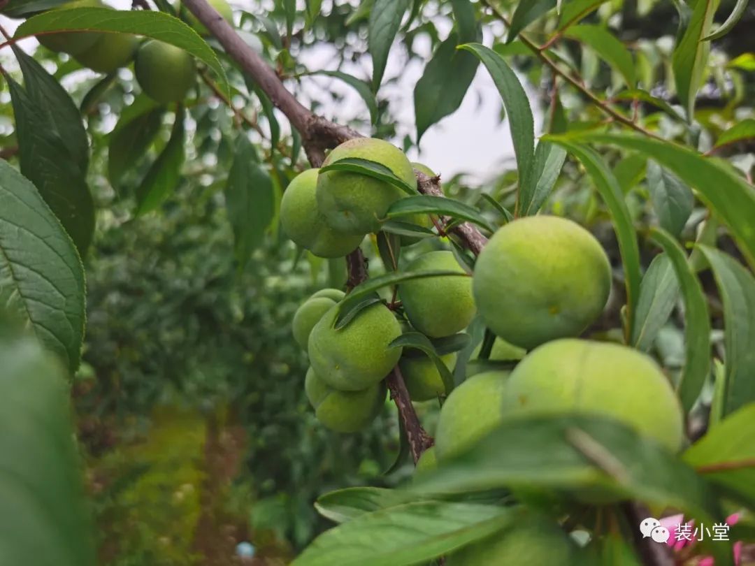 钓虾场钓虾技巧_钓虾技巧_钓虾技巧大全