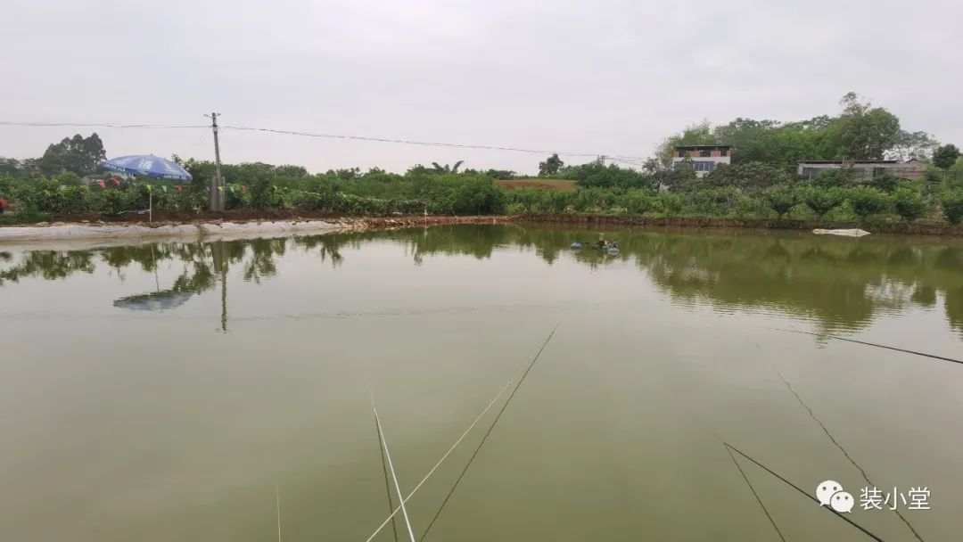 钓虾场钓虾技巧_钓虾技巧大全_钓虾技巧