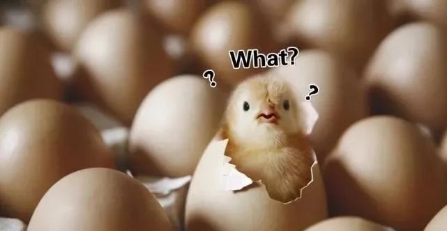 中国知网是外企_中国知网是国企吗_中国知网是私营企业还是国企