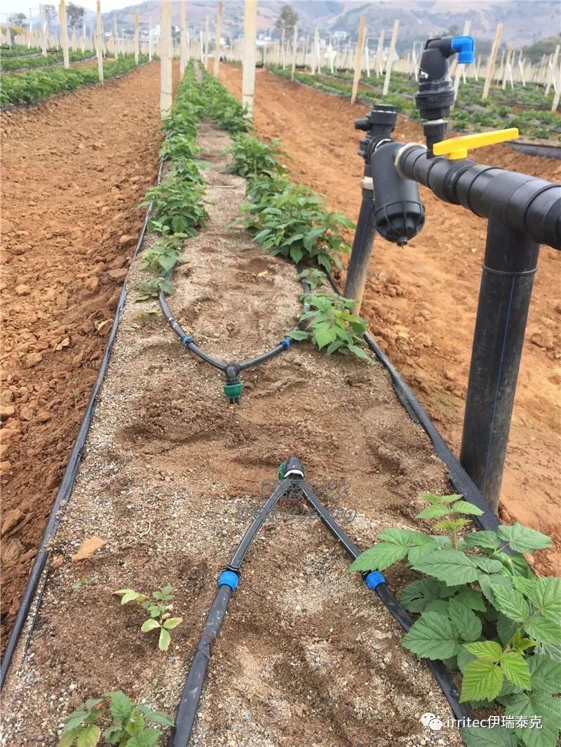微喷灌需要设备_微喷灌_微喷灌溉设备全套