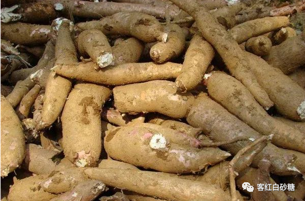 木薯淀粉的作用和用途-木薯淀粉的九大用途及行业应用