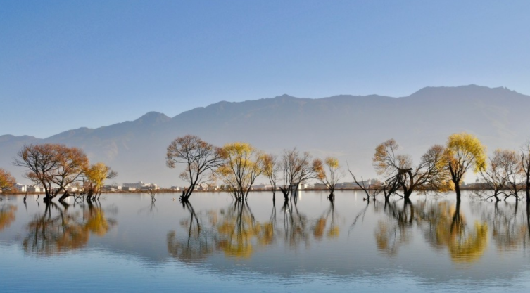 昭通是哪个省的城市-云南省第五城市角逐：大理、楚雄和昭通，谁会成为胜利者？
