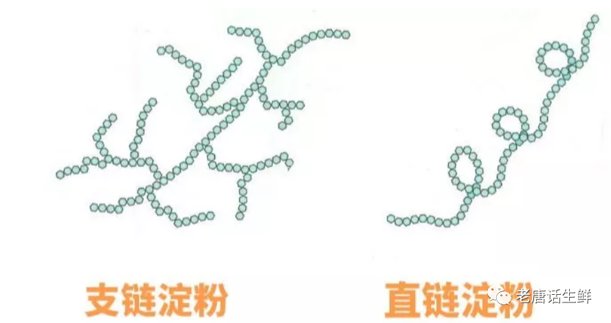 木薯淀粉的作用和用途-【探究】木薯淀粉、澄粉、红薯淀粉、玉米淀粉、土豆淀粉、葛粉等淀粉的不同作用是?