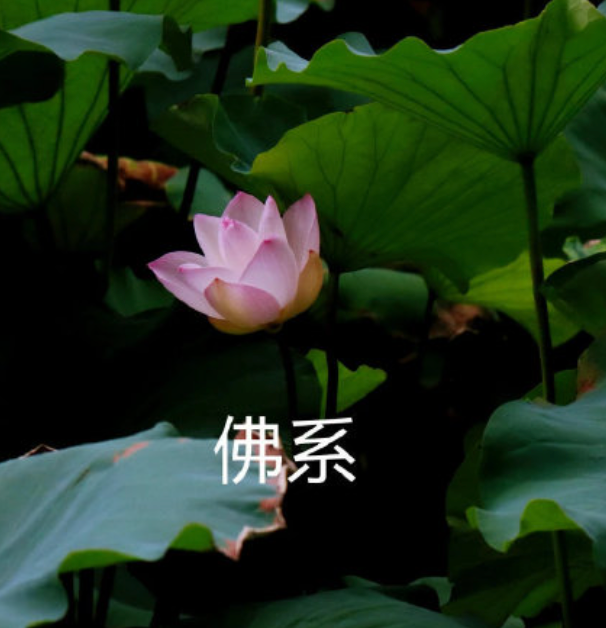 趴菜表情包小女孩_小趴菜表情包_小趴菜方言是什么意思