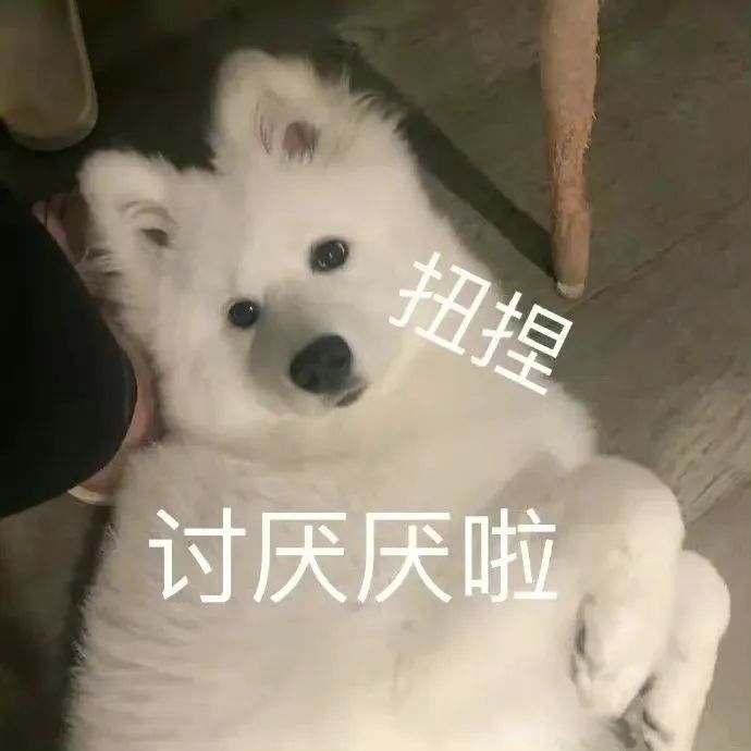 小趴菜表情包_趴菜表情包小女孩_小趴菜方言是什么意思