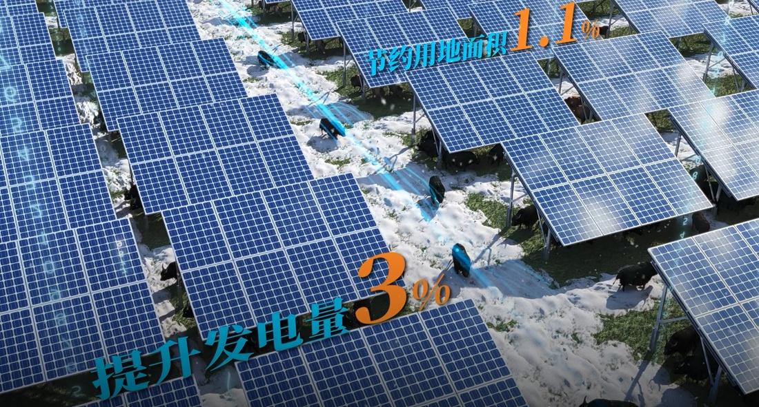 雅江水电开发有限公司待遇_雅砻江水电开发公司待遇_雅砻江水电开发有限责任公司