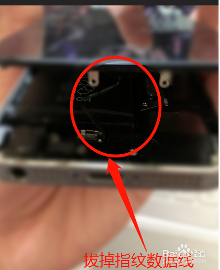 屏幕显示苹果_你的屏幕可以显示_屏幕显示iphone不可用