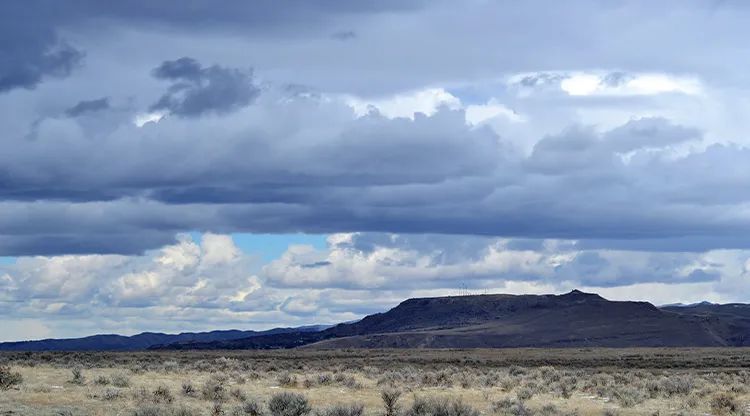 三伏天是什么意思请给我讲一讲_三伏天是什么意思_意思三伏天是成语吗
