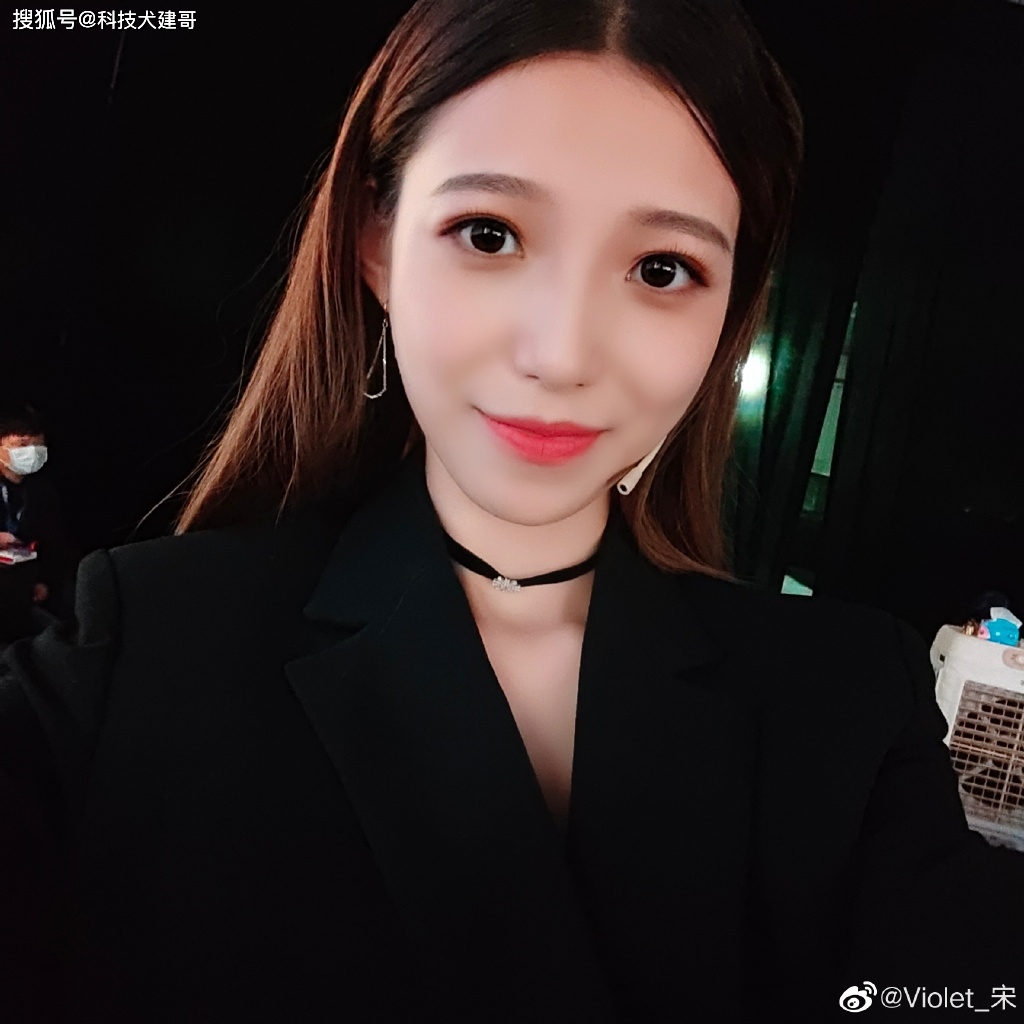 宋紫薇_紫薇宋和平_紫薇宋陆游古诗