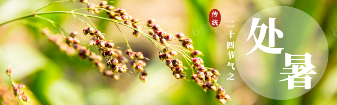 处暑节气的含义是什么_节气的处暑是什么意思_节气含义处暑是指什么