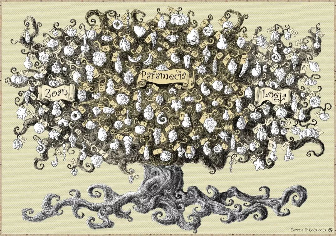 路飞老婆叫什么名字_路飞的老婆_路飞的老婆是女帝吗