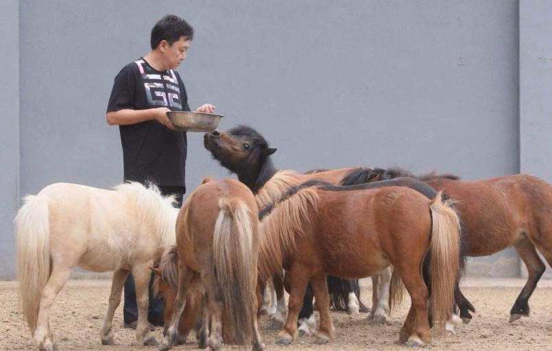 于谦的老婆_于谦老婆的梗_于谦老婆干嘛的