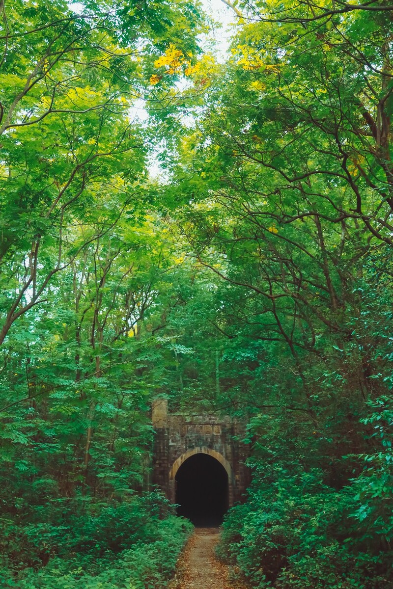 薛之谦唱安河桥的故事_薛之谦翻唱安河桥_薛之谦安和桥