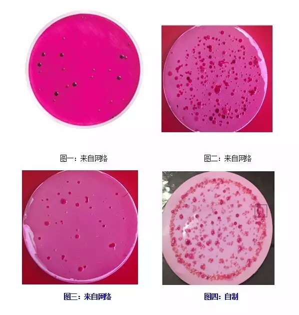 伊红美蓝鉴别大肠杆菌颜色变化_大肠杆菌在伊红美蓝上颜色_伊红美蓝鉴别大肠杆菌颜色变化