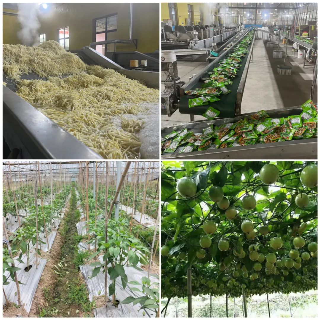 乡村振兴的十二字标准指的是_振兴乡村二十字方针_乡村振兴十二字方针内涵