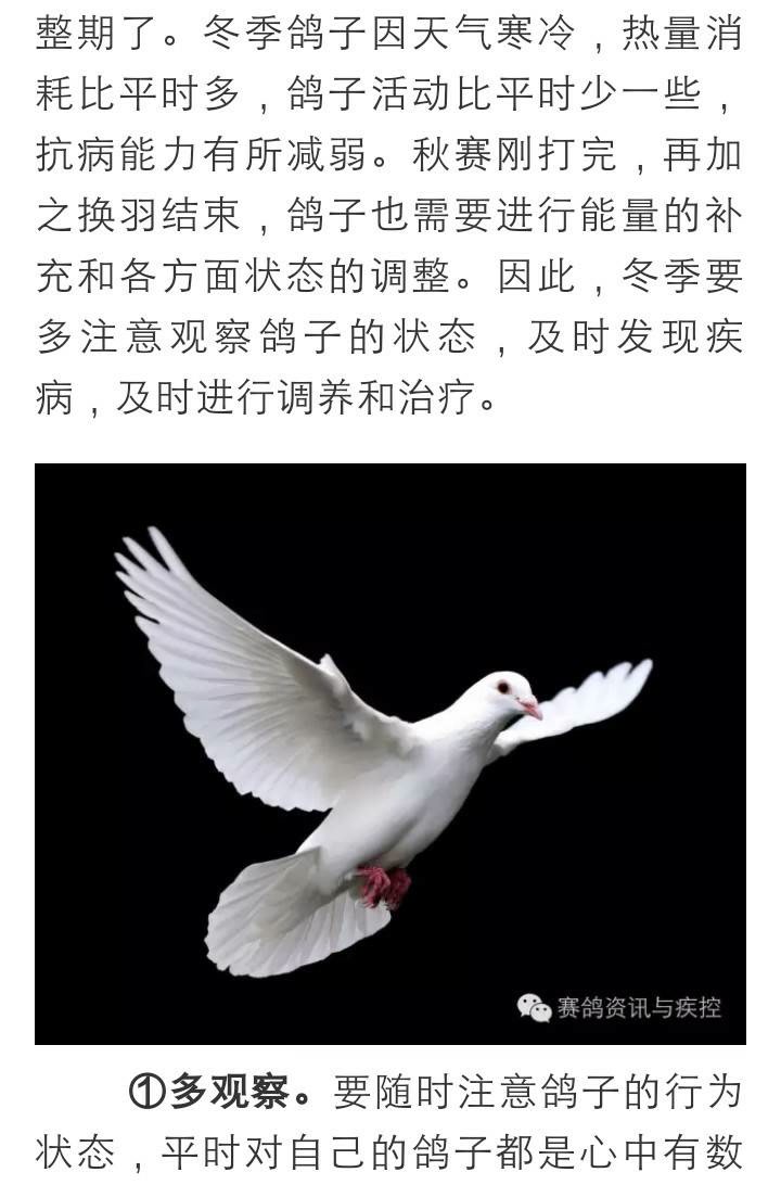 穿鞋的怕赤脚的是什么意思_穿鞋的就怕光脚的_光脚的不怕穿鞋的是什么意思