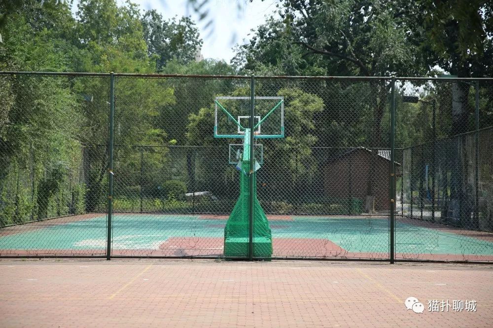 室外篮球推荐_室外篮球场_室外篮球场图片