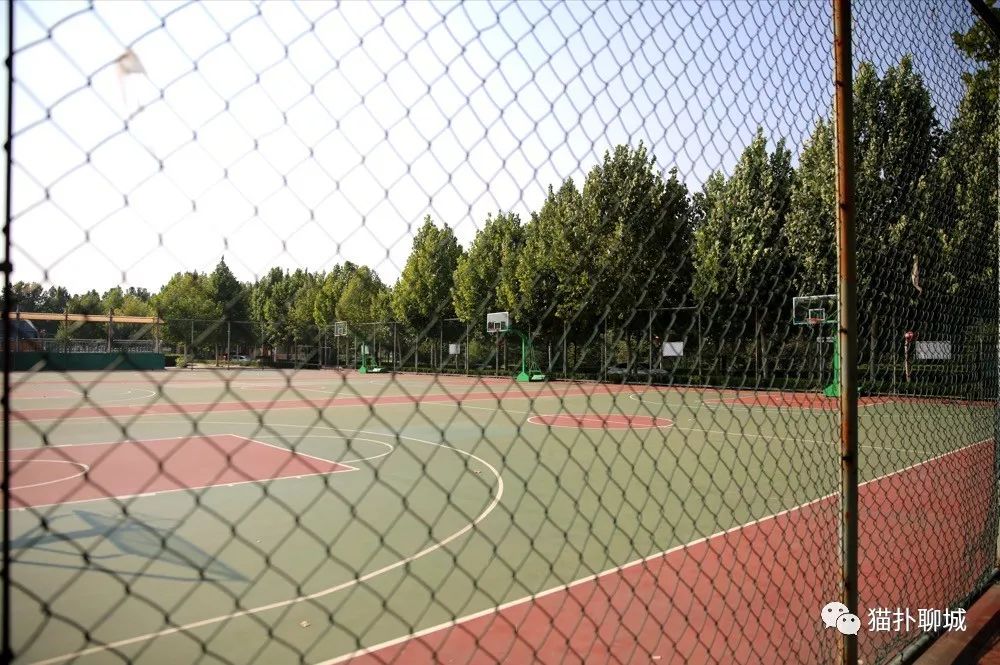 室外篮球场_室外篮球场图片_室外篮球推荐
