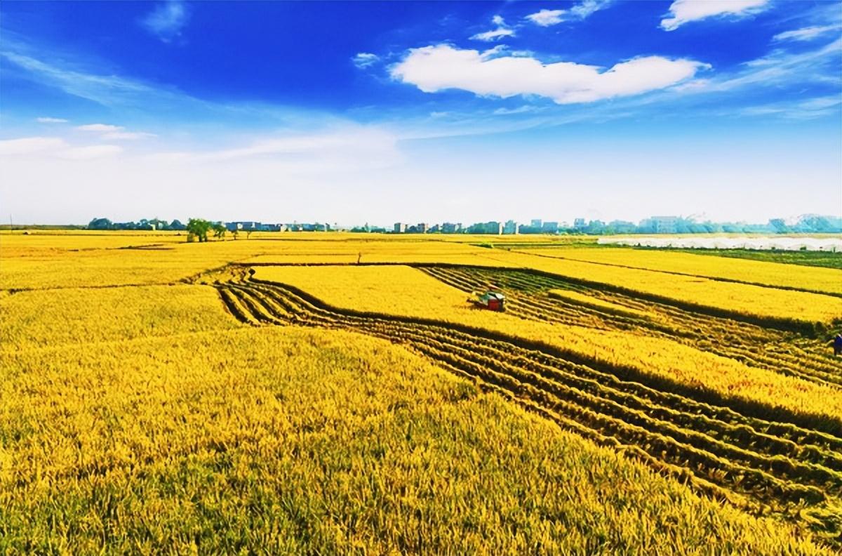 湖广指哪里_湖广是指哪里_湖广指哪些地方