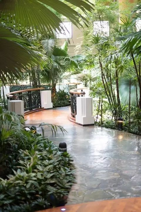 迪拜最强越南河粉 – WOX面馆