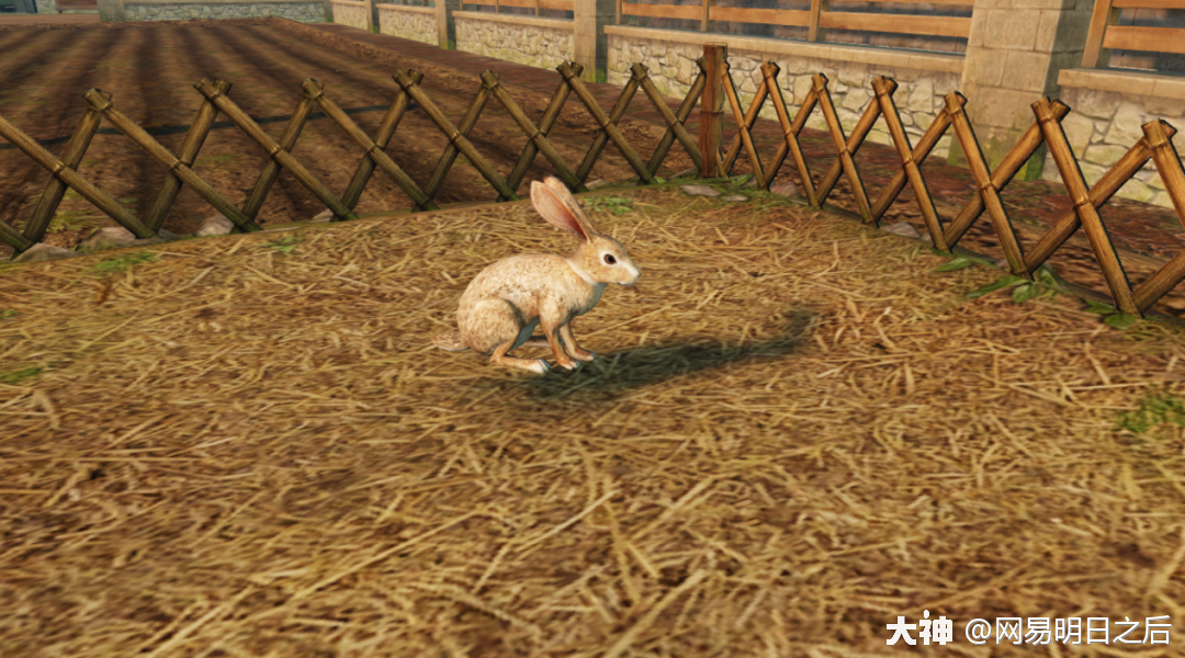 守株待兔反思简短_守株待兔教学反思3篇_守株待兔教学反思