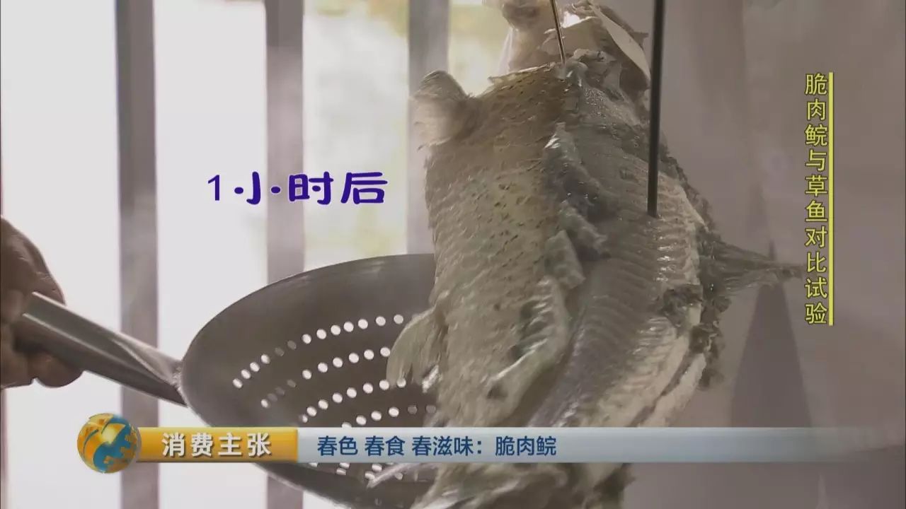 脆鱼是什么鱼_脆鱼的做法_脆鱼