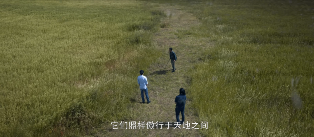 史强到底怎么了_史强最后一次出现_史强的结局