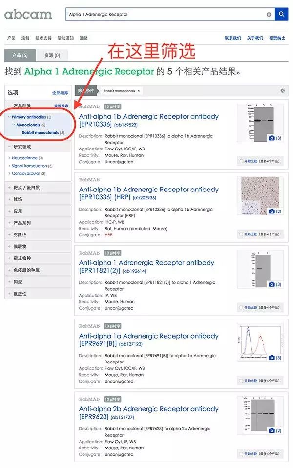 裂解液sl_np40裂解液_np40裂解液原理