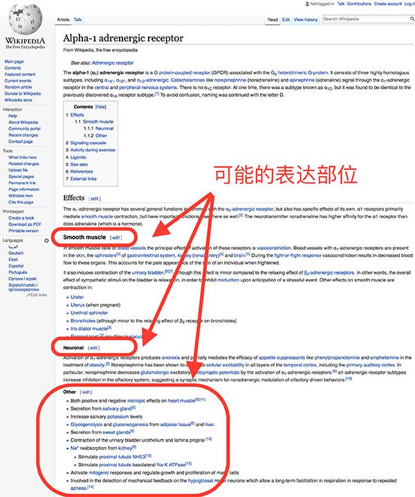 np40裂解液_np40裂解液原理_裂解液sl