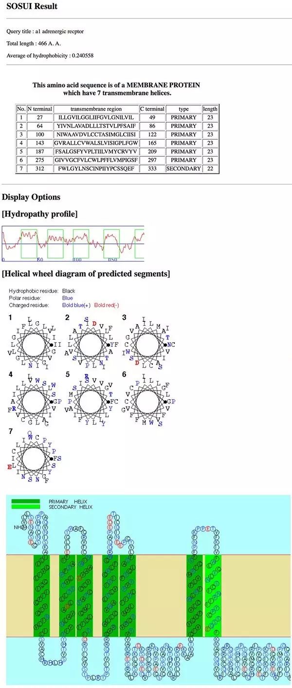 裂解液sl_np40裂解液_np40裂解液原理
