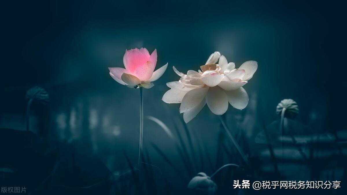 继续教育个税专项附加扣除多少_继续教育个税专项附加扣除多少_附加扣除继续教育