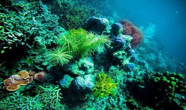 菲律宾海岛游排名_菲律宾海岛_菲律宾海岛攻略