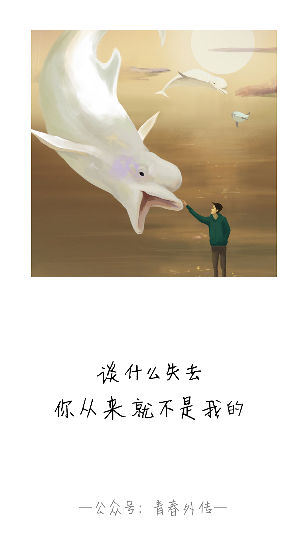 麻生遥_麻生遥_麻生遥