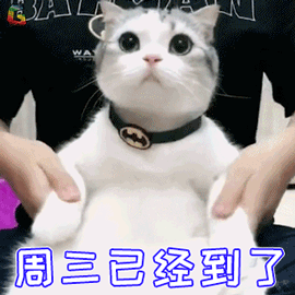 吃猫粮可以发腮吗_人可以吃猫粮吗_吃猫粮可以减肥吗