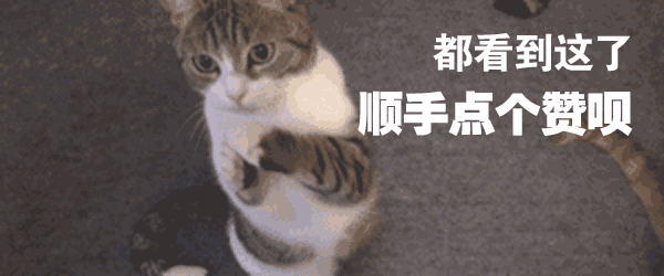 人可以吃猫粮吗_吃猫粮可以发腮吗_吃猫粮可以减肥吗