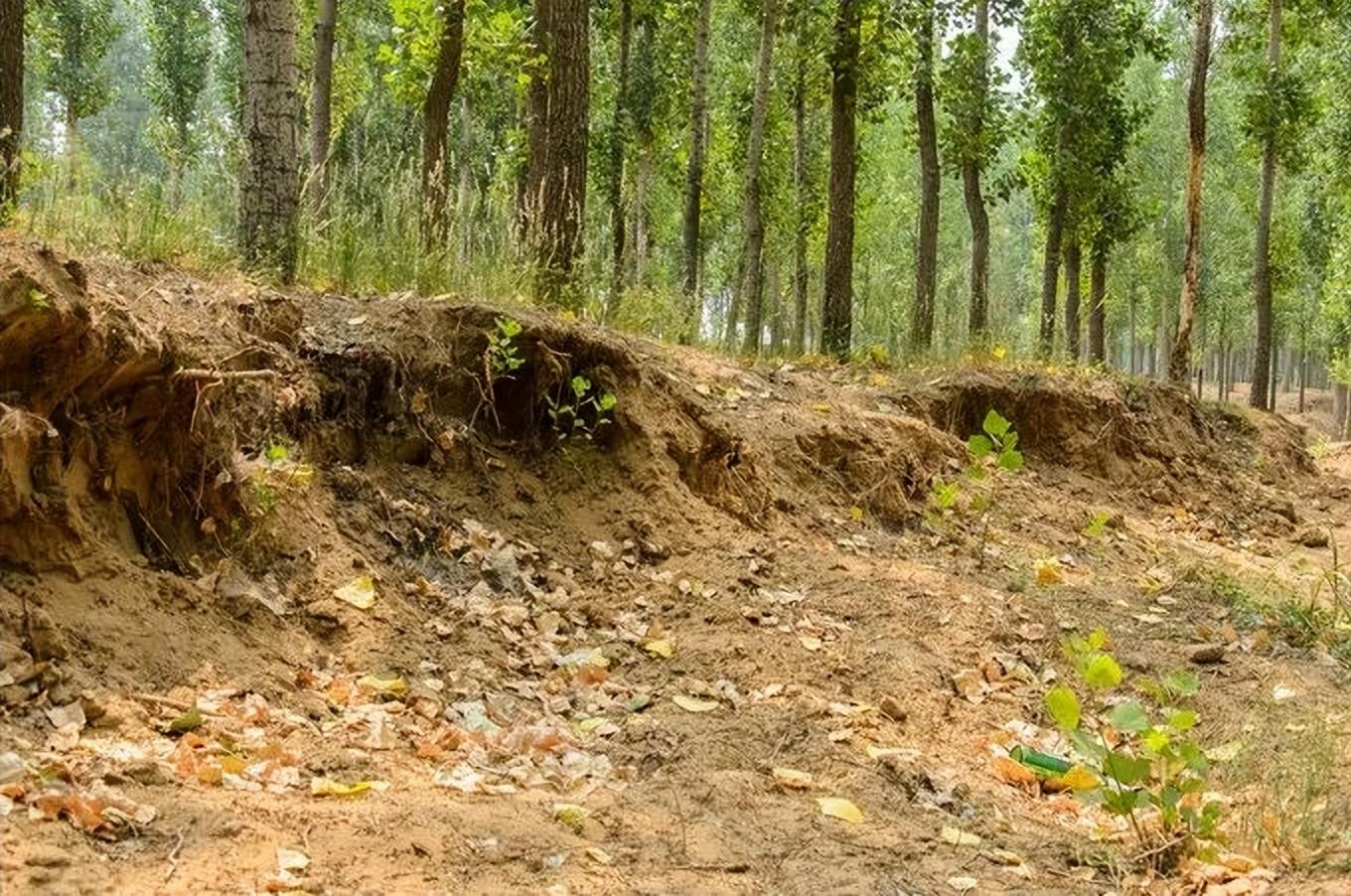 火山岩厂家火山岩生产厂家_火山岩_火山岩有什么作用和用途