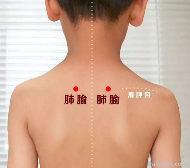 适用贴人群功效三伏作用的药_贴三伏贴的功效与作用_三伏贴的作用功效及适用人群