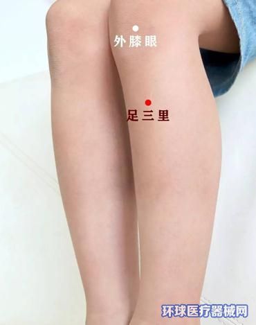 三伏贴的作用功效及适用人群_贴三伏贴的功效与作用_适用贴人群功效三伏作用的药