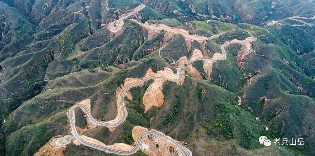 陕北狗头枣多少钱一斤_狗头枣_狗头枣多少钱一斤